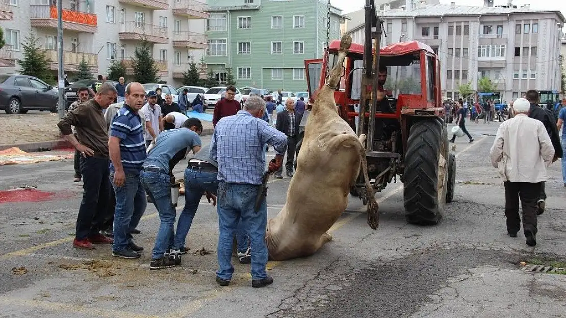 'Kurbanlarını  keserken zor anlar yaşadılar'