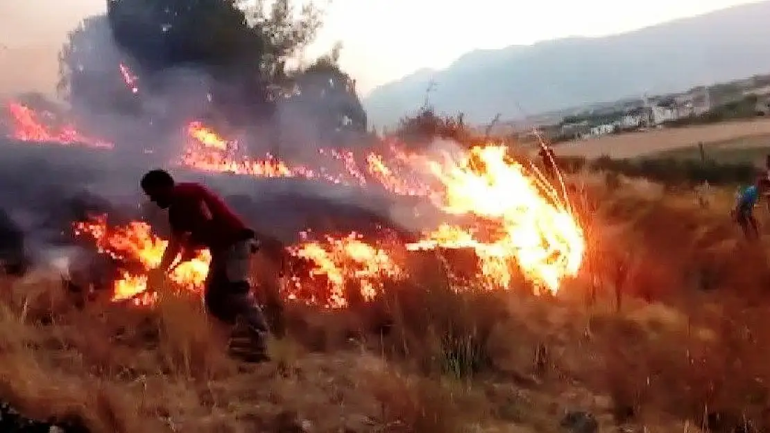 'Kahramanmaraş´ta orman yangını'