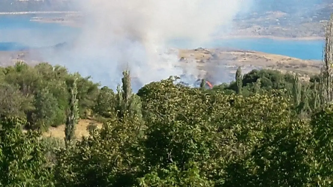 'Anız yangınında ağaçlar zarar gördü'
