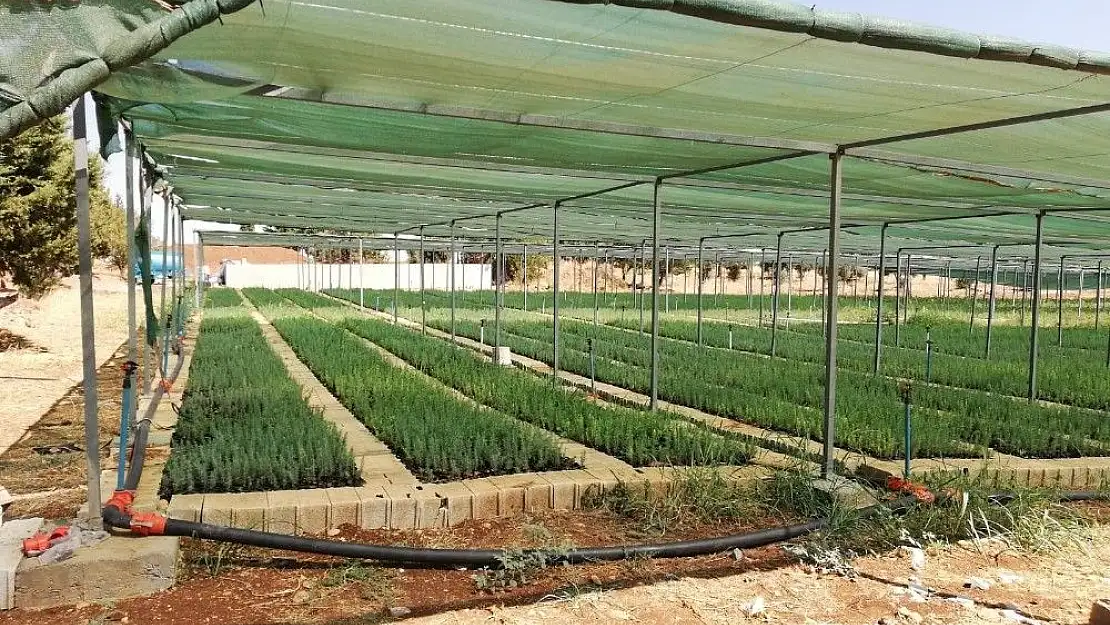 'Adıyaman´da ağaçlandırma çalışmalarına hız verildi'