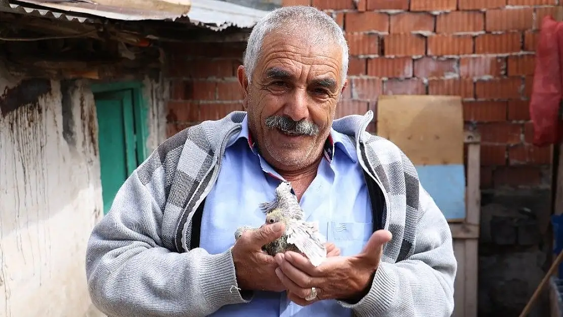 'Çalınan güvercinlere değil yavrulara üzüldü'