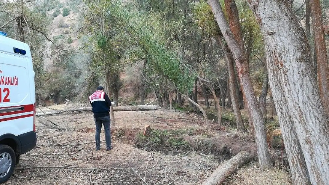 'Kestiği ağacın altında kalarak öldü'