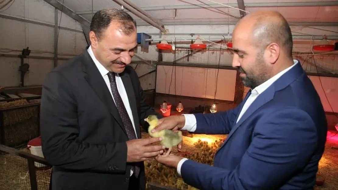 'Vali Kaldırım, Türkiye´nin en büyük kaz çiftliğini inceledi'