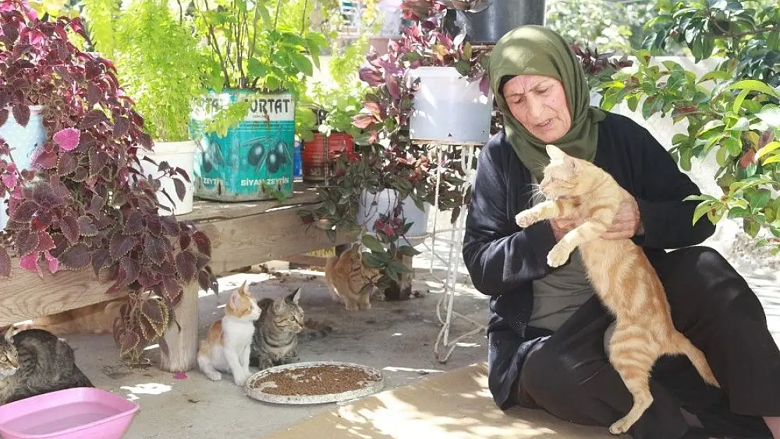 '(Özel) 56 yıldır kedilerle yaşıyor'