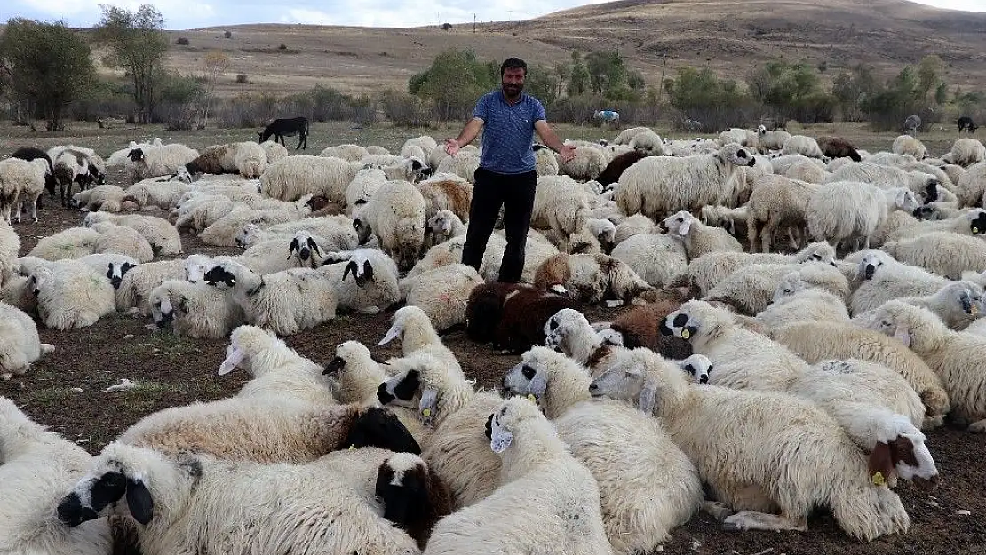 'Yayla sezonunda sona gelindi'