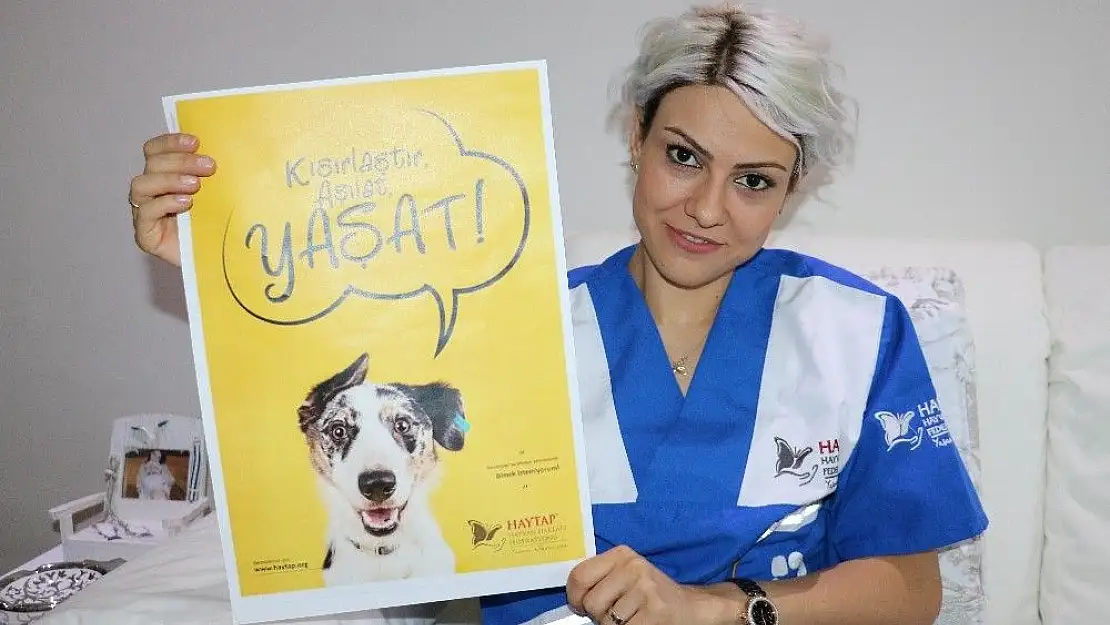 'Hayvan hakları savunucuları 5199 sayılı kanunun değişmesini istiyor'