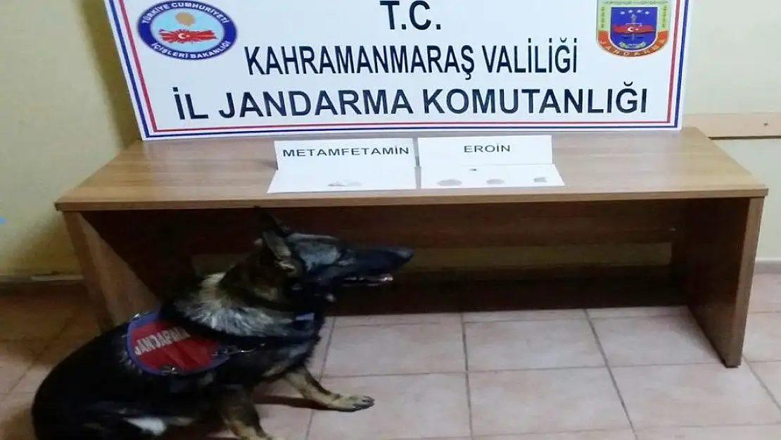 'Otomobildeki uyuşturucuyu ''Atos'' buldu'