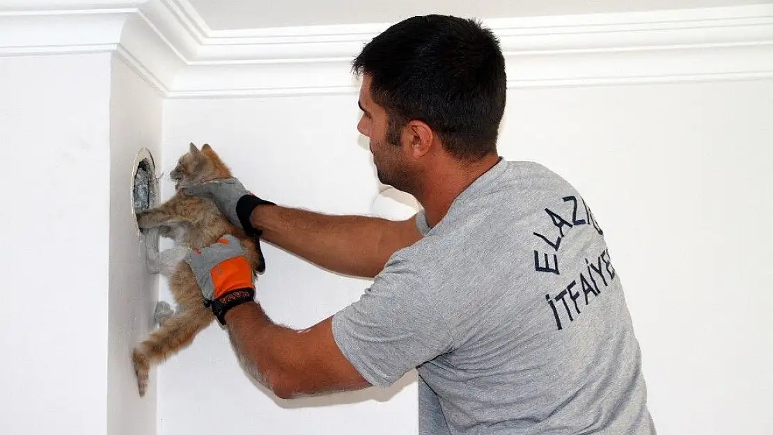 'Bacaya düşen kedi kurtarıldı'
