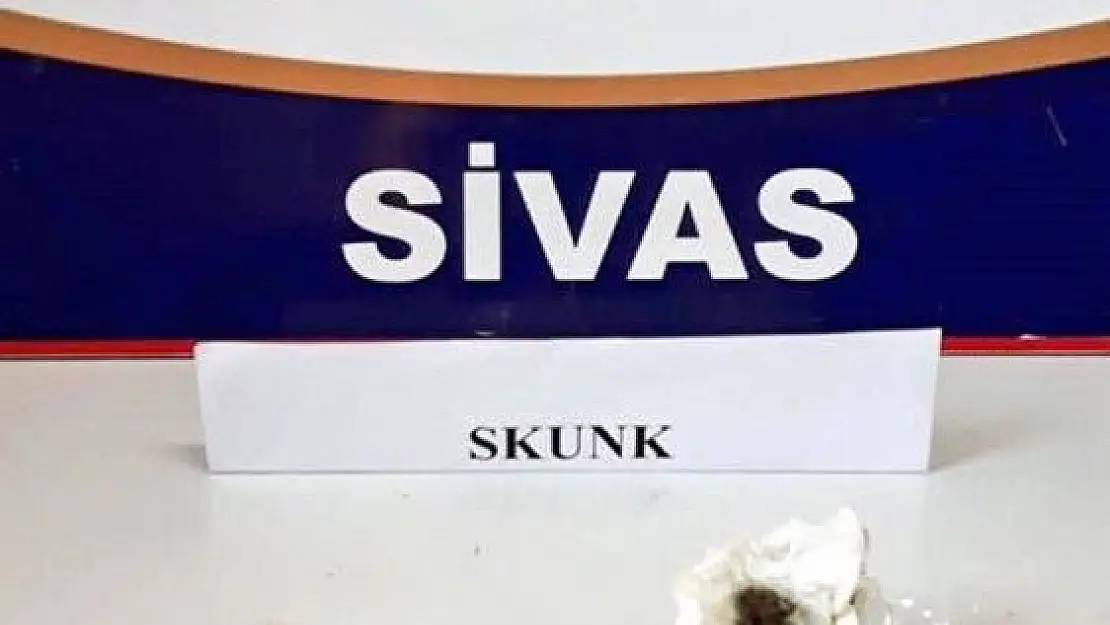'Sivas´ta uyuşturucu operasyonları'