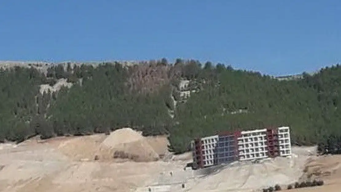 'Ormandaki ağaçlar kurumaya başladı'