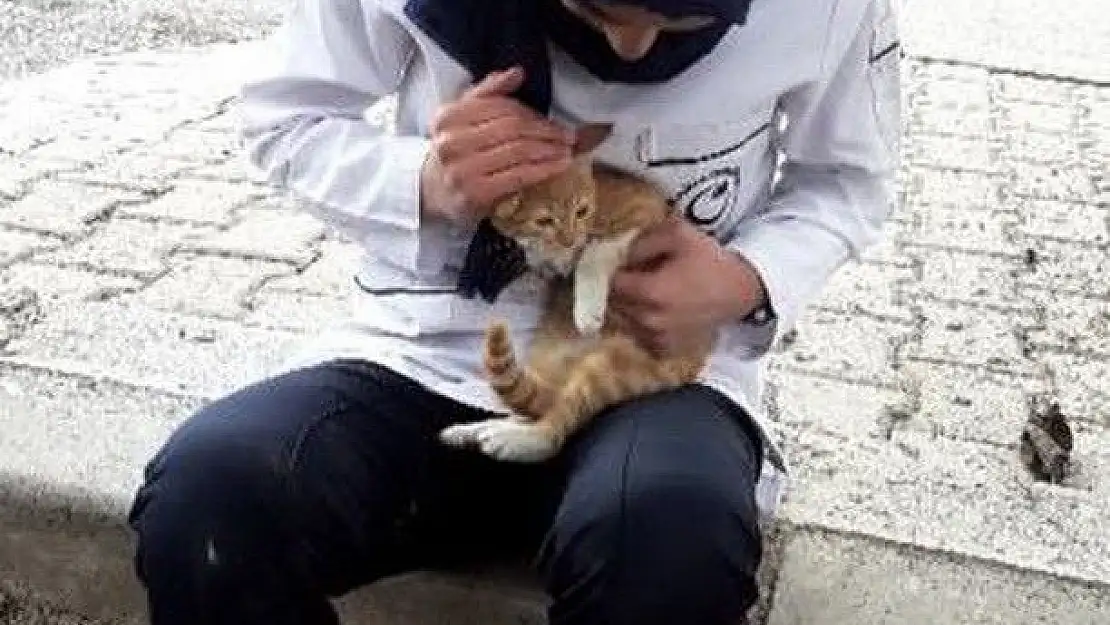 'Kız öğrenci ağaca tırmanıp mahsur kalan kediyi kurtardı'