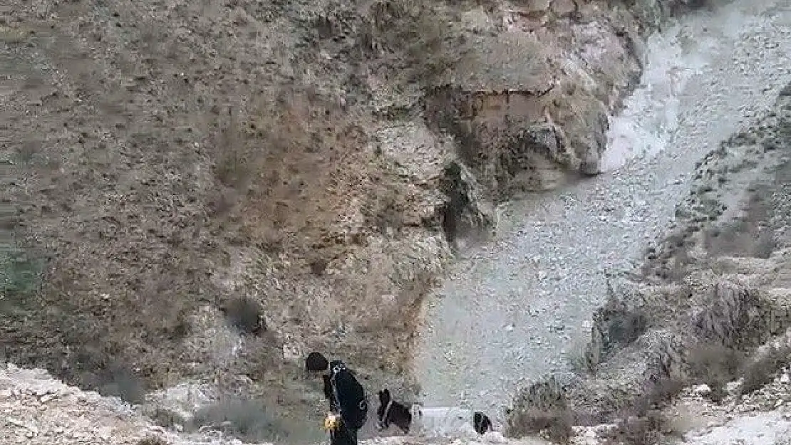'Mahsur kalan eşeği ekipler kurtardı'