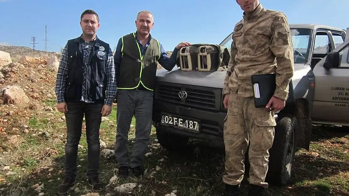 'Jandarma kaçak avcılara göz açtırmıyor'