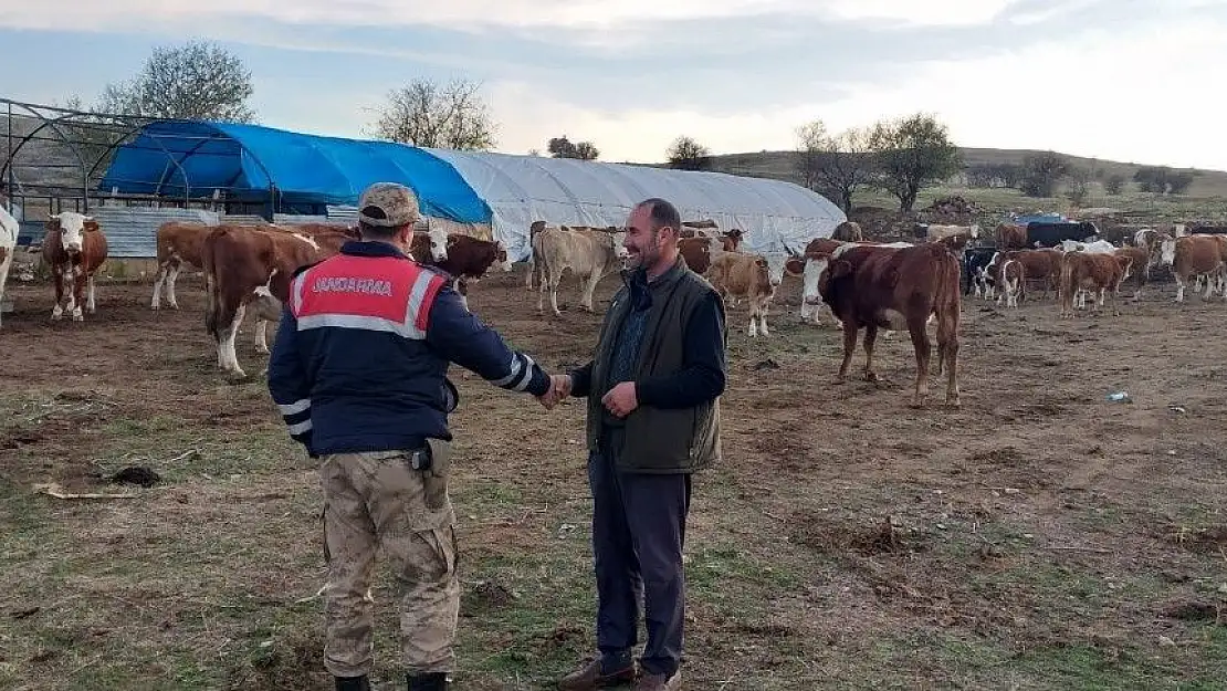 'Jandarma, kayıp hayvanları ´drone´ ile buldu'