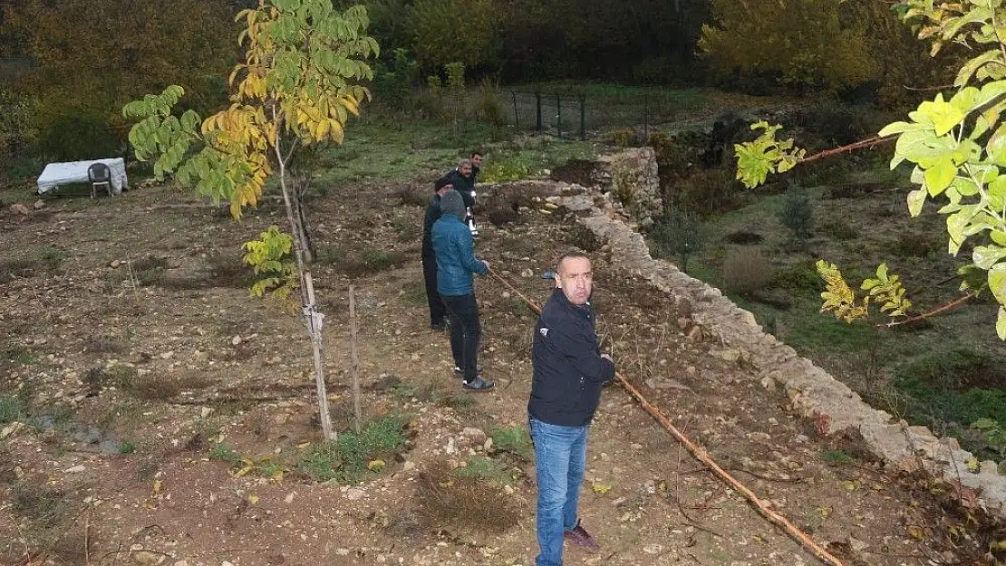 'Ekipler yaralı domuz için seferber oldu'