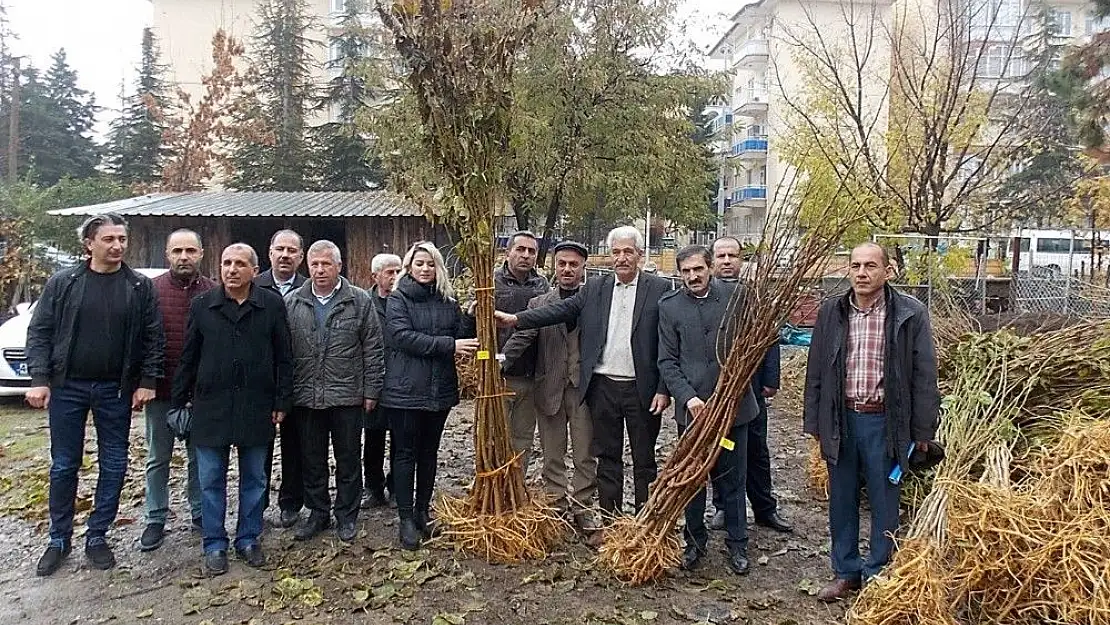 '75 üreticiye dut fidanı dağıtıldı'