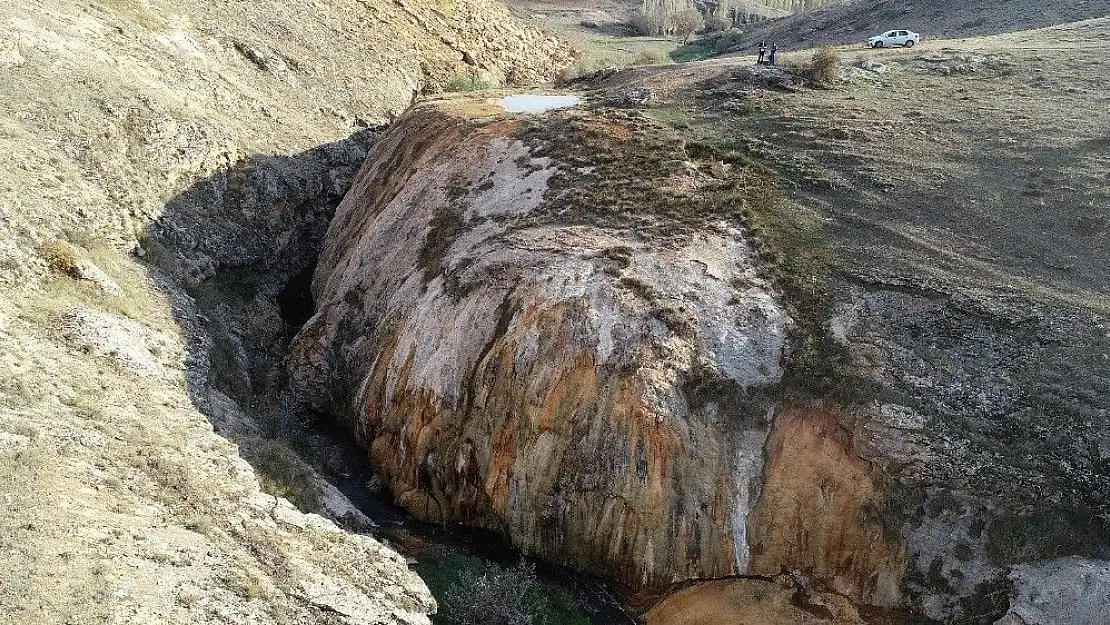 'Dünyada örneği az, biri de Sivas´ta'