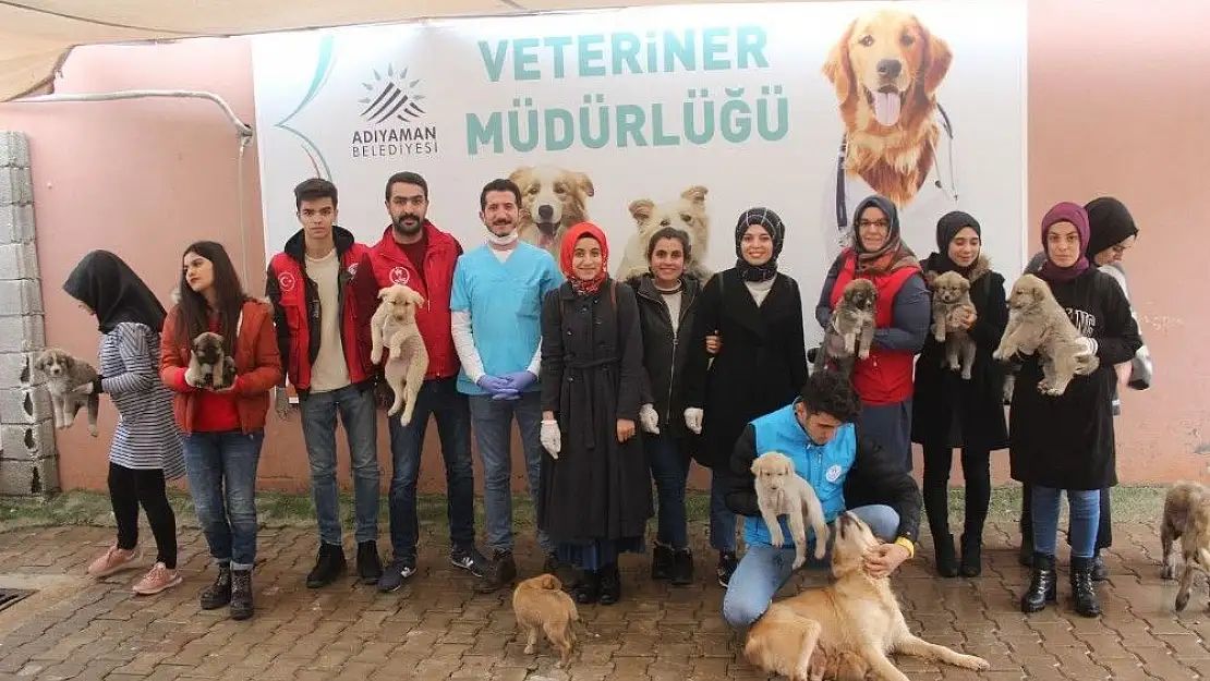 'Gençlerin `iyilik ağacı´ büyüyor'