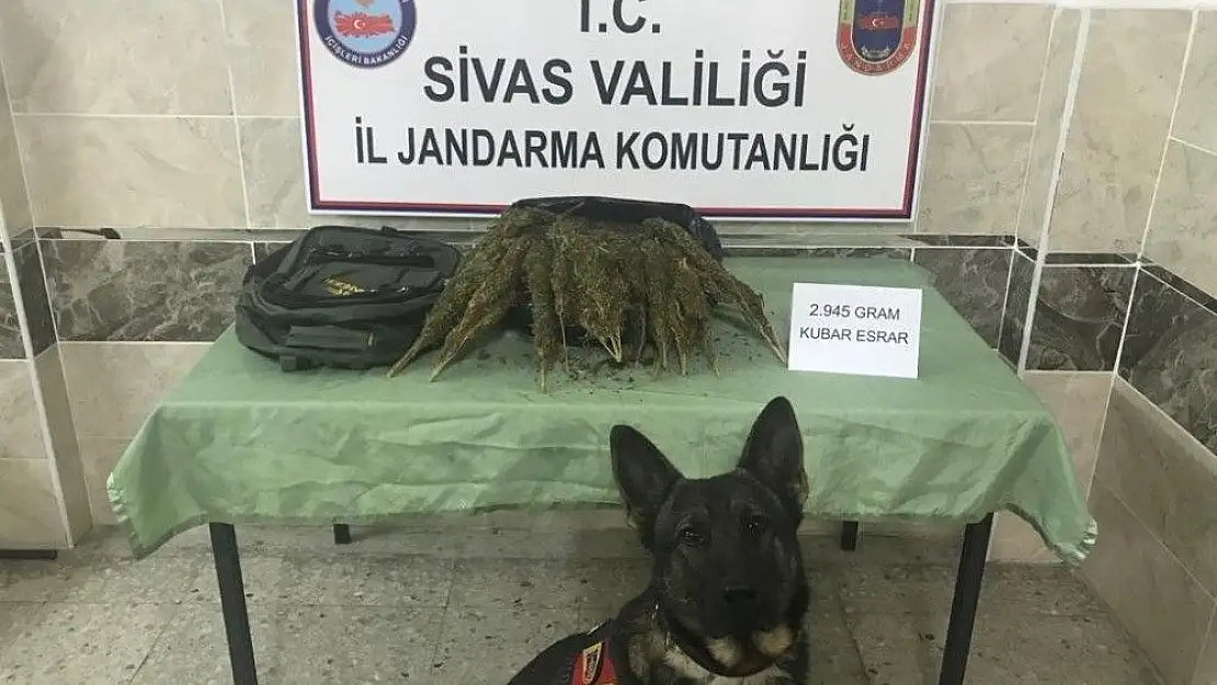 'Uyuşturucu taciri Geçim´i geçemedi'
