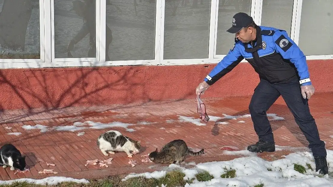 'Polis ve öğrenciler, sokak hayvanları için doğaya yem bıraktı'