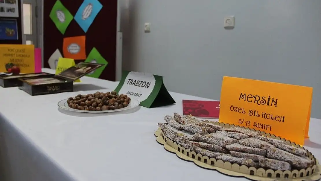 '''Yedi Bölge Okulumda'' projesi'
