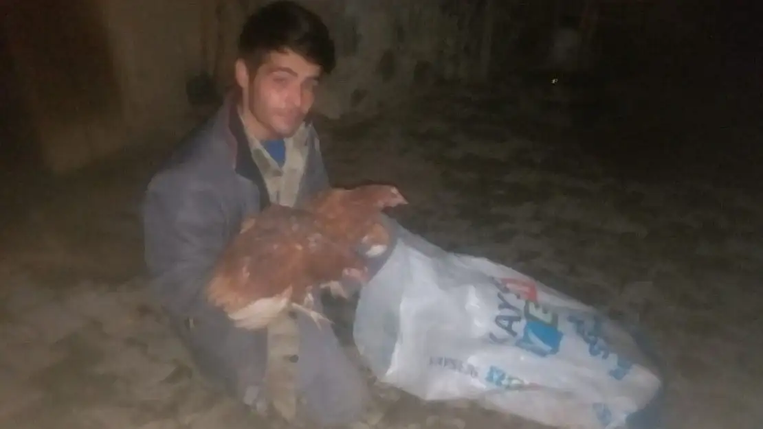 'Çuvala doldurduğu tavukları ölüme terk etti'
