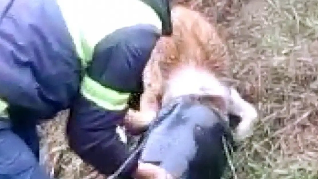 'Kafası bidona sıkışan köpeği temizlik görevlileri kurtardı'