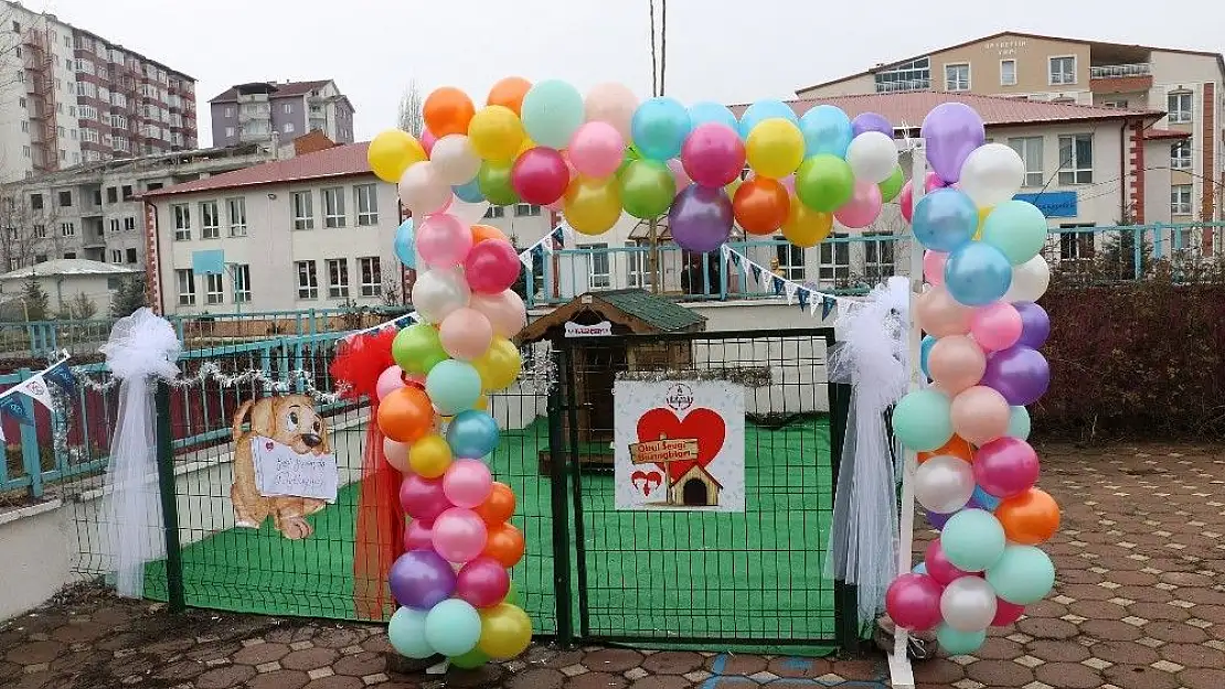 'Sevgi barınakları öğrencilere hayvan sevgisi aşılayacak'