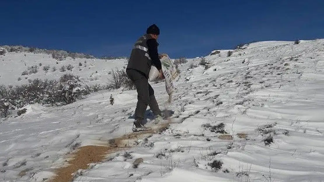 'Elazığ´da yaban hayvanları için 2 ton yem bırakıldı'