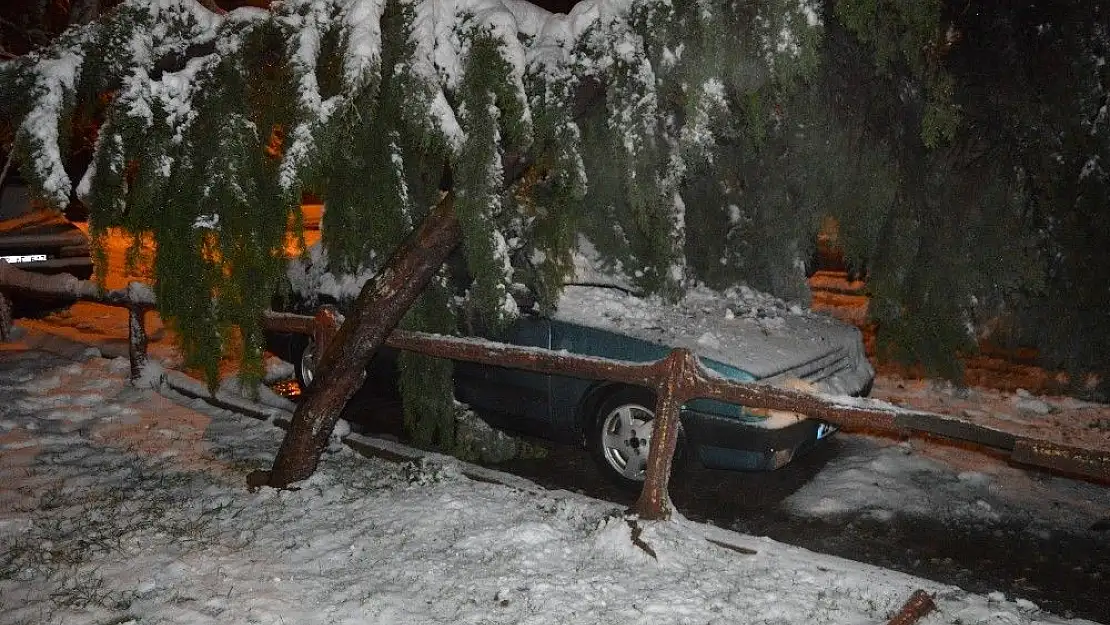 'Kara dayanamayan ağaç otomobilin üzerine devrildi'