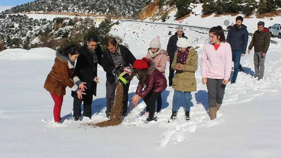 'Öğrenciler doğaya mama bıraktı'