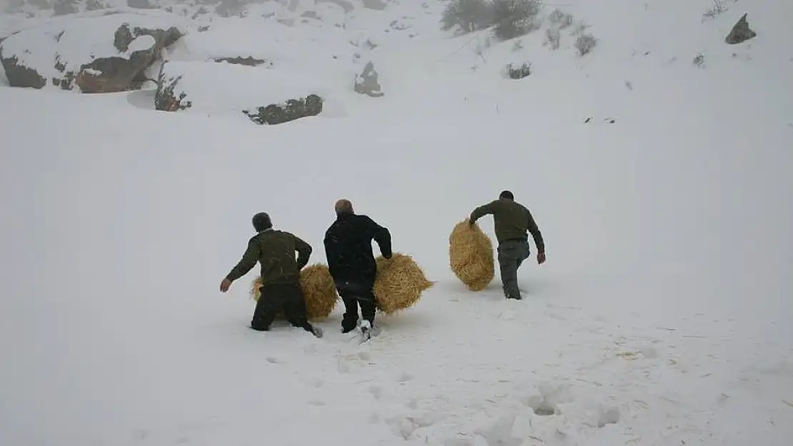 'Elazığ´da yaban hayvanları için 4 ton yem bırakıldı'