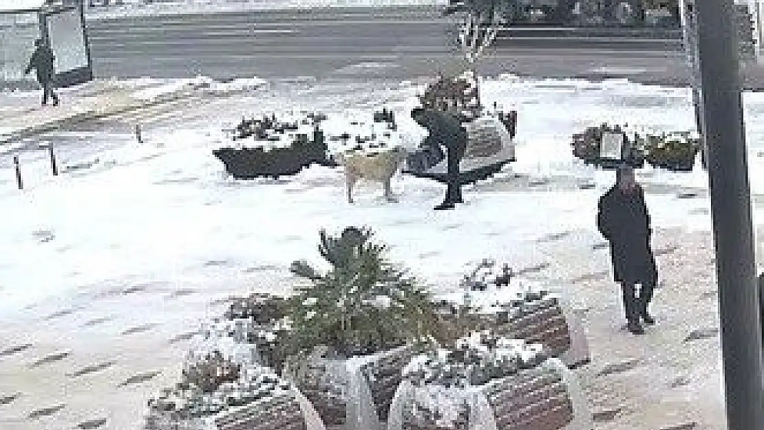 'Elazığ´da örnek davranış, kahvaltısını köpeğe verdi'
