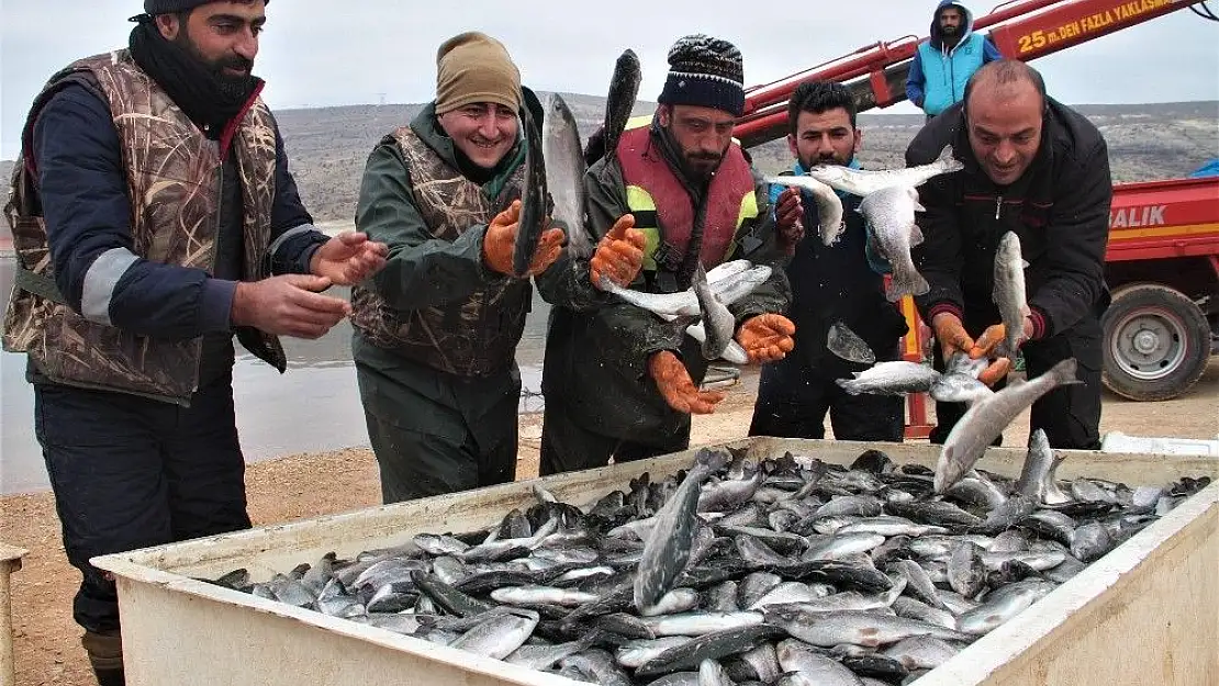 'İtalya, Almanya, Hollanda ve Rusya´nın balığı Elazığ´dan'