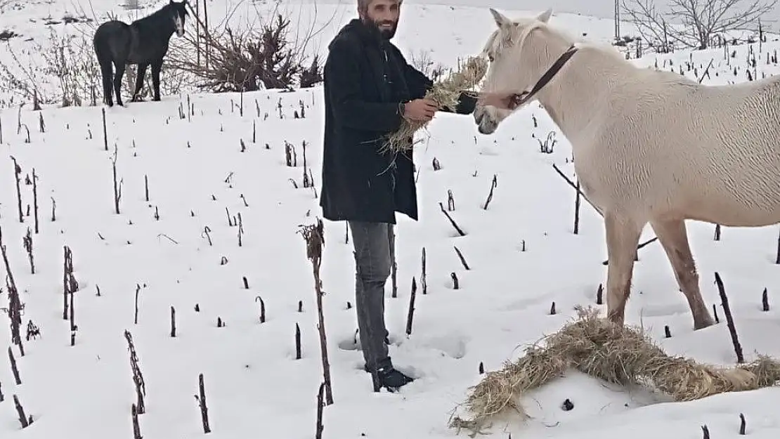 'Hayvanlar aç kalmasın diye yem torbalarını 10 kilometre sırtında taşıdı'