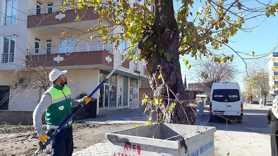 'Adıyaman Belediyesinden ağaçlara bakım'