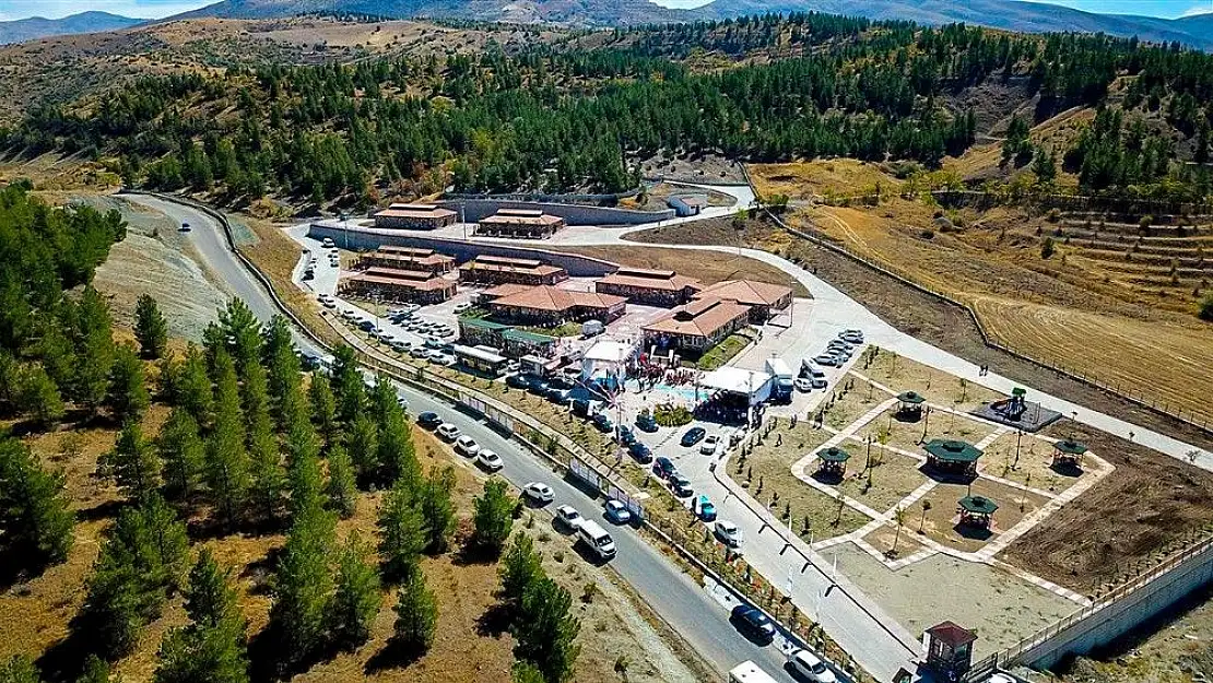 '2018 yılı içerisinde 2 bin sokak hayvanının bakımı yapıldı'