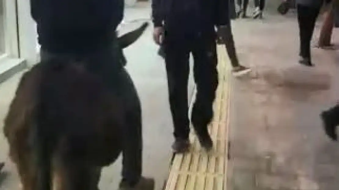 'En işlek caddede eşeğiyle gezince görenler şaşkına döndü'