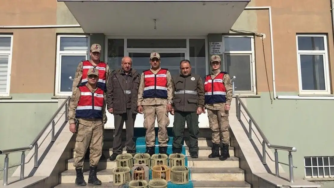 'Elazığ´da kaçak avlanan 10 keklik ele geçirildi'