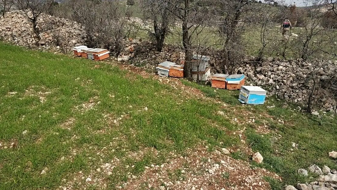 'Adıyaman´da arı kovanlarını çalan şahıs tutuklandı'