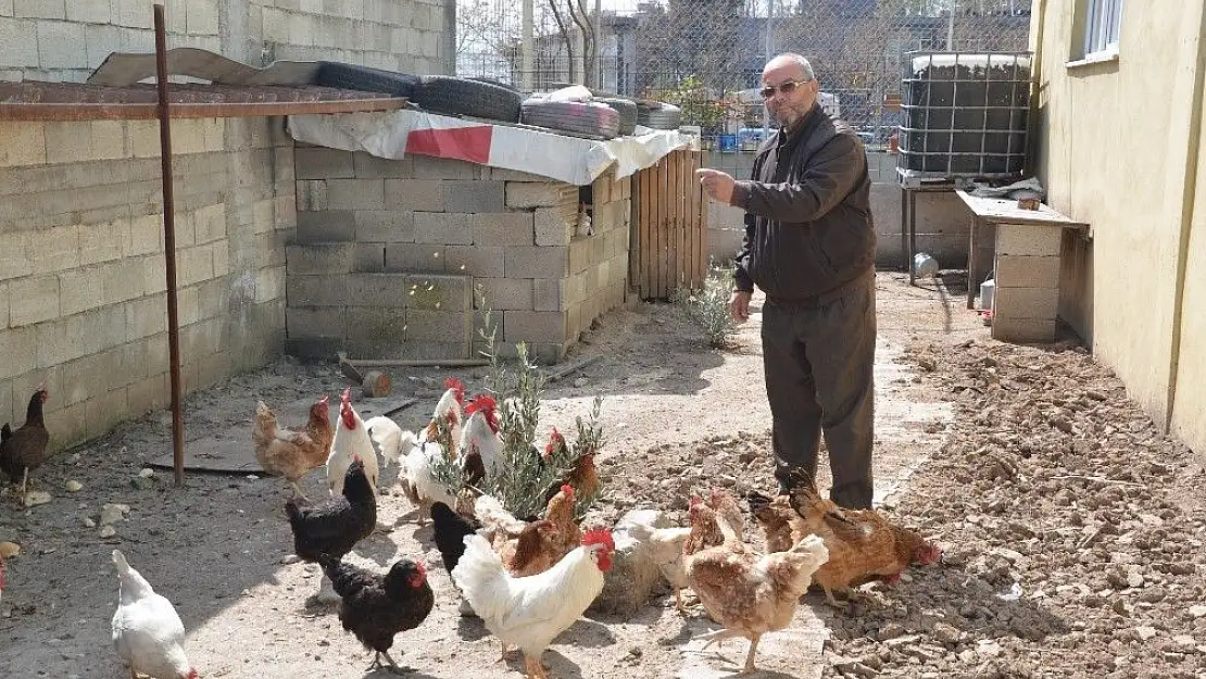'Sanayi esnafından organik üretim'