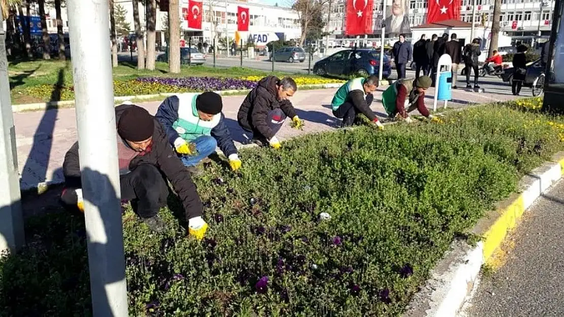 'Adıyaman´da yeşil alanlara özel bakım'