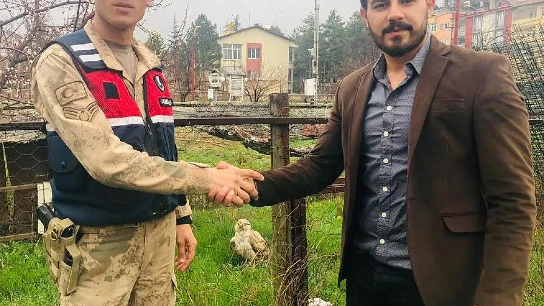 'Jandarmadan yaralı kartala şefkat eli'