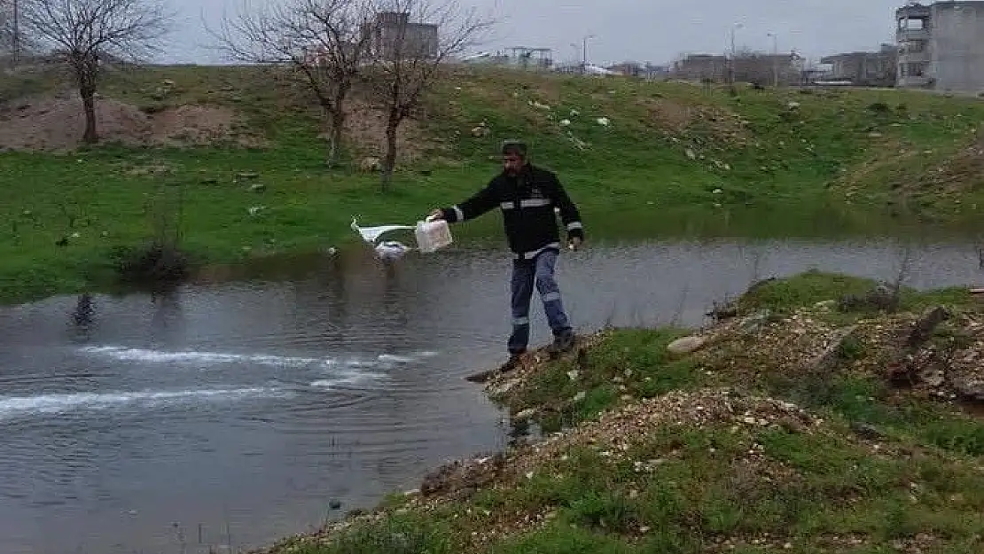 'Adıyaman´da larva mücadelesi başladı'