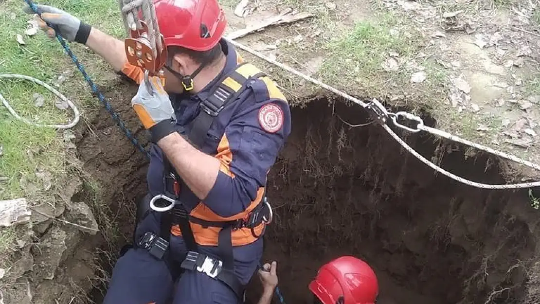'Kuyuya düşen inek, itfaiye ekipleri tarafından kurtarıldı'