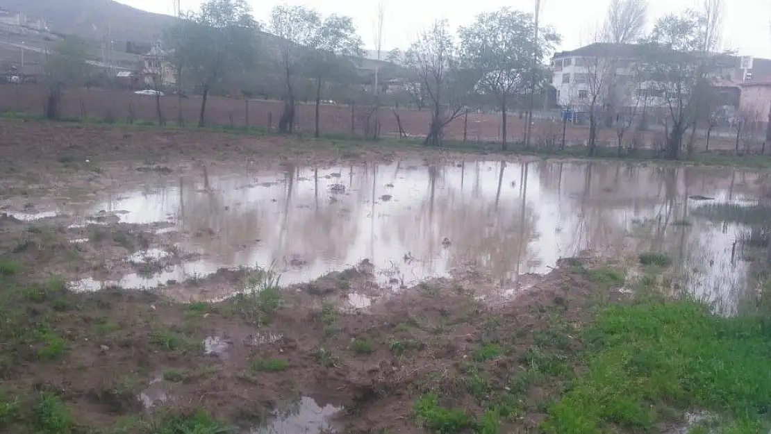 'Kovancılar´da yağış, ekinlere zarar verdi'