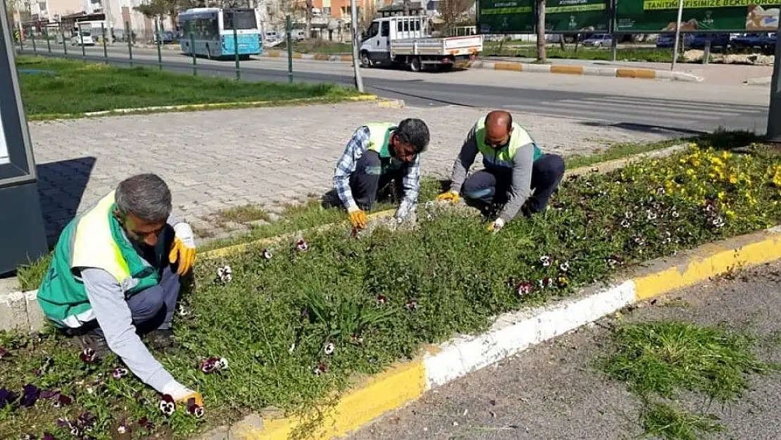 'Adıyaman Belediyesi´nden yabani otlarla mücadele'