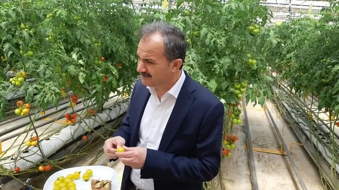 'Başkan Kılınç, Ankara´da katı atık tesislerini inceledi'