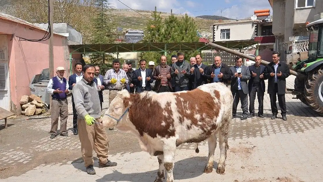 'Mahalle sakinleri, bereket ve bolluk için kurban kesti'