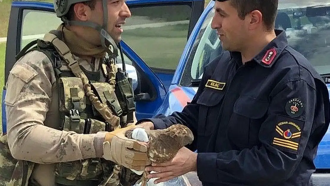 'Komandolardan yaralı şahine şefkat eli'